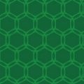 亀の甲羅のような緑色ベースの六角形パターン